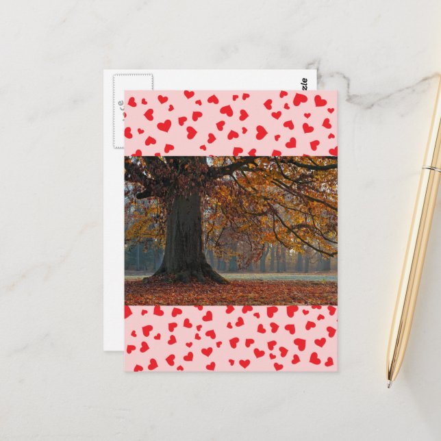 Postal de amor (Anverso/Reverso In Situ)