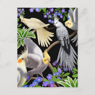 Postal de amor de Cockatiel