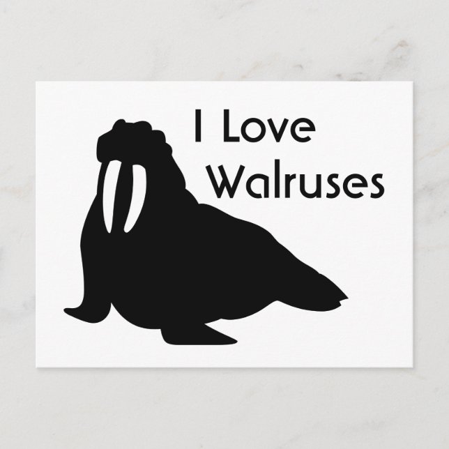 Postal de amor de Walrus (Anverso)