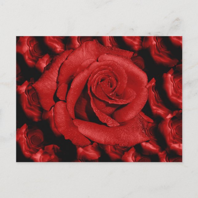 postal de amor para las rosas rojas (Anverso)
