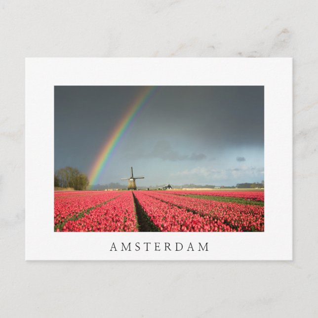 Postal de Amsterdam con arco iris, tulipanes y mol (Anverso)
