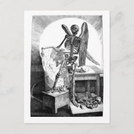 Postal de Anatomía de Mans