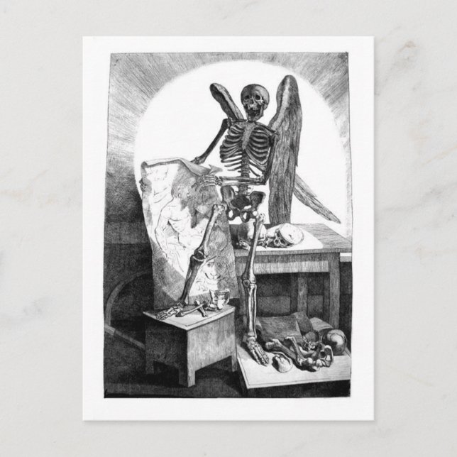 Postal de Anatomía de Mans (Anverso)