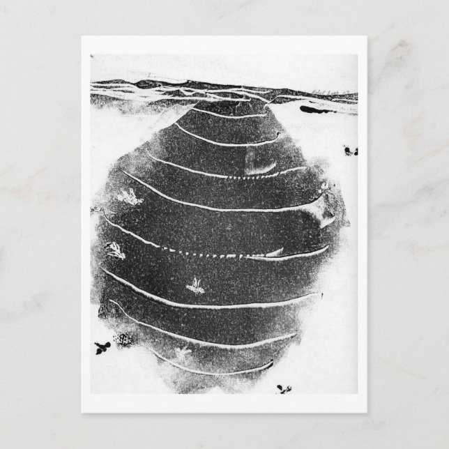 Postal de animales (Anverso)