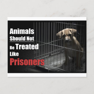 Postal de animales no prisioneros