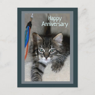 Postal de Aniversario de Kitten Kimber