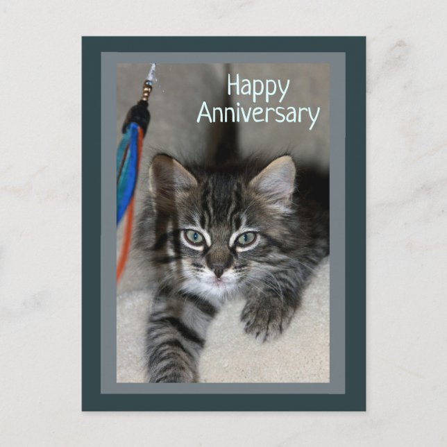 Postal de Aniversario de Kitten Kimber (Anverso)