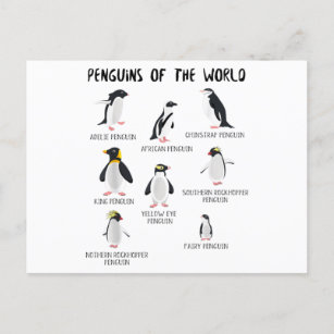 Postal De Anuncios 8 Pingüinos más raros del mundo - Animales diverti