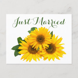Postal De Anuncios Acaba de Casarse Floral Girasoles Amarillo Verde B