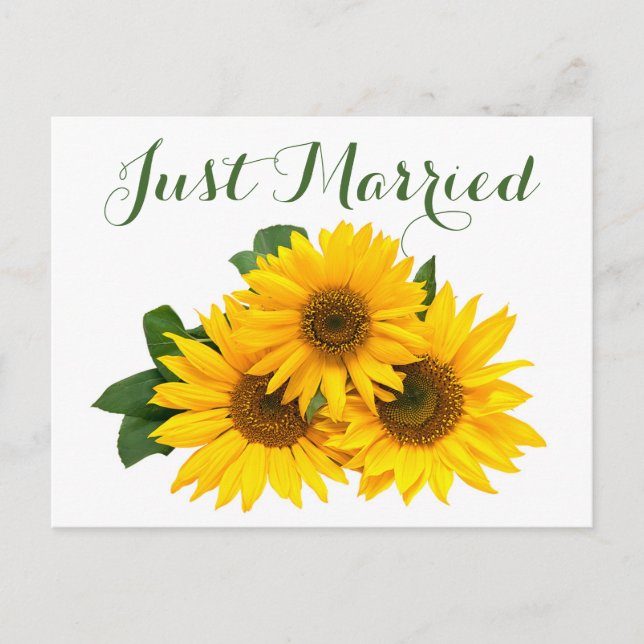 Postal De Anuncios Acaba de Casarse Floral Girasoles Amarillo Verde B (Anverso)
