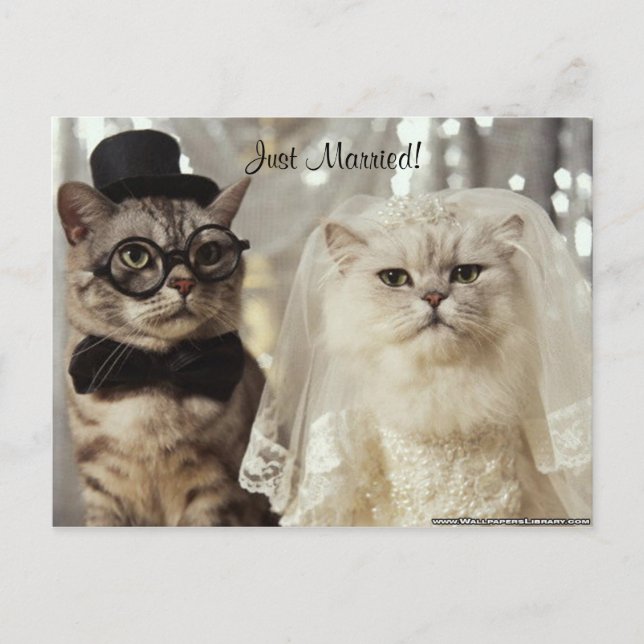 Postal De Anuncios ¡Acabamos de Hacerlo! (Anverso)