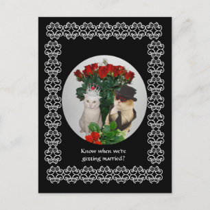 Postal De Anuncios ¡Ahorre la fecha!