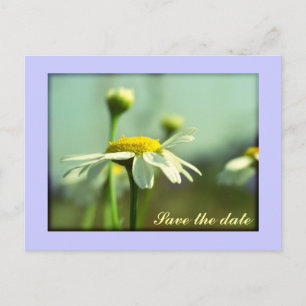 Postal De Anuncios Ahorre la fecha