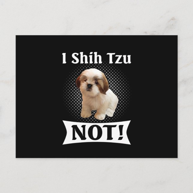 Postal De Anuncios Amor por Shih Tzu Lindo Divertido Shih Tzu (Anverso)