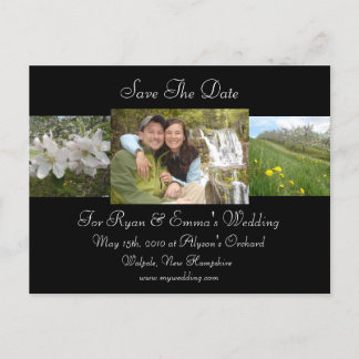 Postal De Anuncios Apple Blossom Save The Date