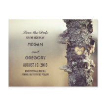 árbol antiguo rústico salva la fecha