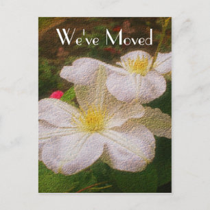 Postal De Anuncios Arte floral Clematis Nueva Dirección