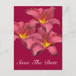 Postal De Anuncios Artículos coordinados de lirio de día rojo