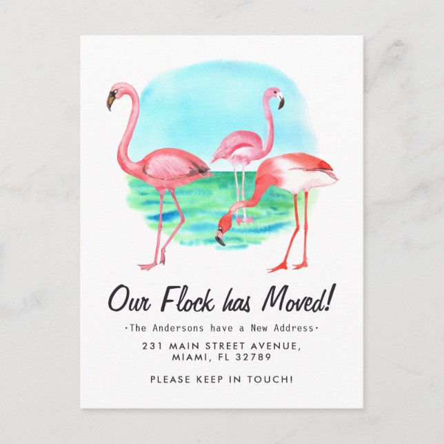 Postal De Anuncios Bandada de Flamencos Tropicales se Mudó Nueva Dire (Anverso)