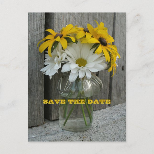 Postal De Anuncios Barnwood, Daisies, Susans De Ojos Negros Salvan La (Anverso)