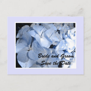 Postal De Anuncios Bebé Azul Hydrangea Salva la fecha