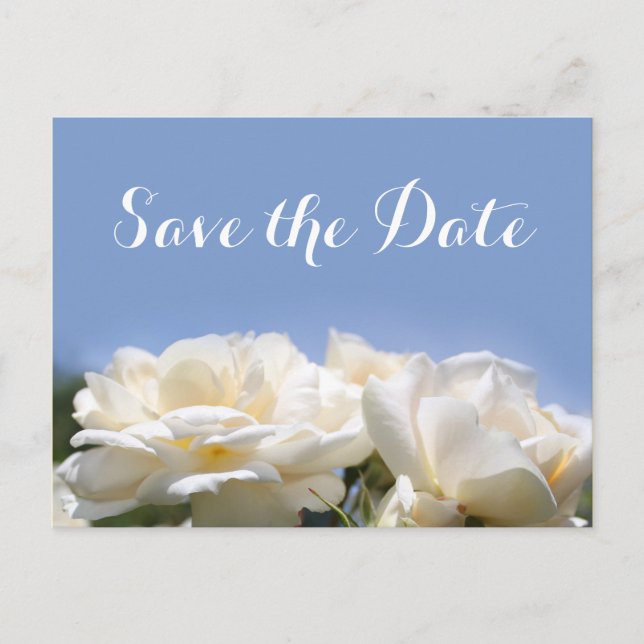 Postal De Anuncios bellas flores blancas de rosa salvan la fecha (Anverso)