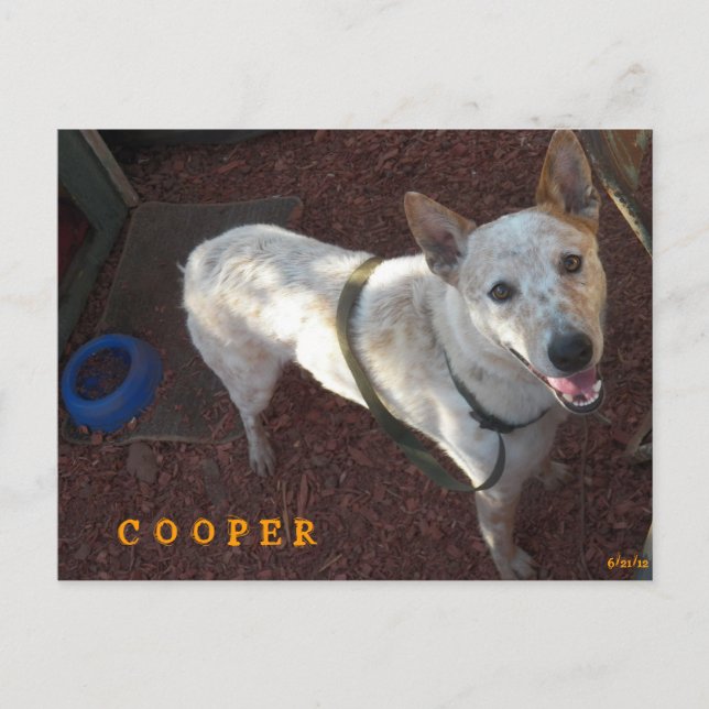 POSTAL DE ANUNCIOS BIENVENIDO A TU NUEVO HOGAR COOPER (Anverso)