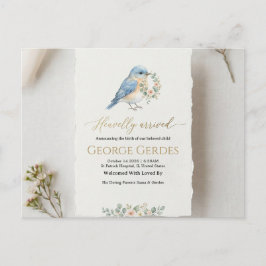 Postal De Anuncios Birth Announcement Postcard