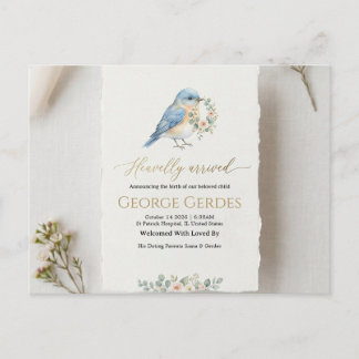 Postal De Anuncios Birth Announcement Postcard