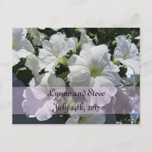 Postal De Anuncios Blanca Petunia Save the Date