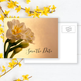 Postal De Anuncios Blanco Narciso Doble Primavera Boda Save the Date
