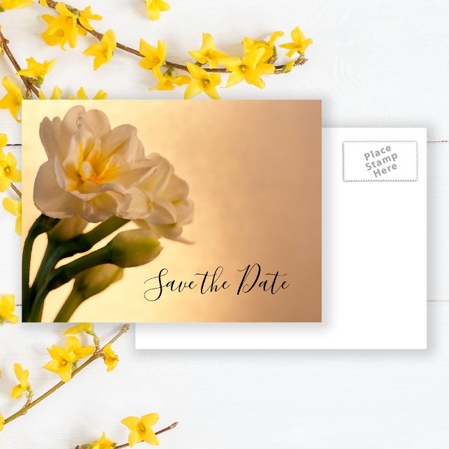 Postal De Anuncios Blanco Narciso Doble Primavera Boda Save the Date (Subido por el creador)