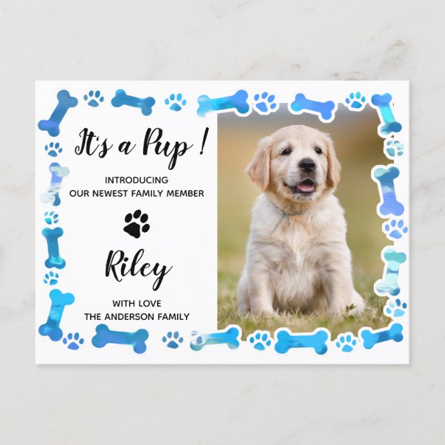 Postal De Anuncios Blue Paw Imprime Huesos Nuevos Perros Mascotas Cac (Anverso)