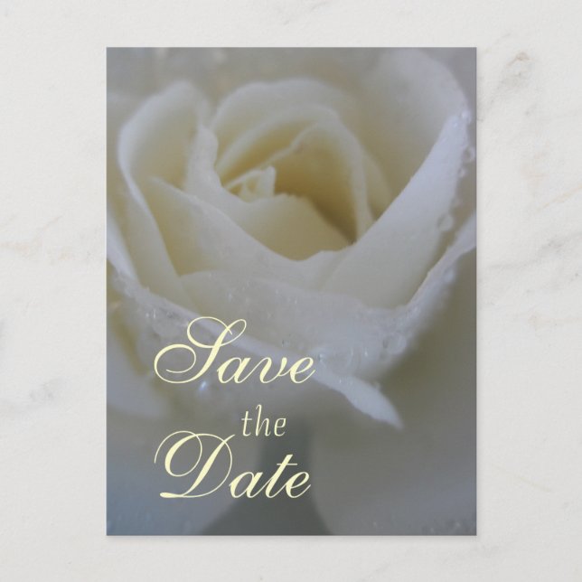 Postal De Anuncios Boda Angel Rosa (Anverso)