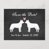Boda australiana de perros de ganado salva la fech