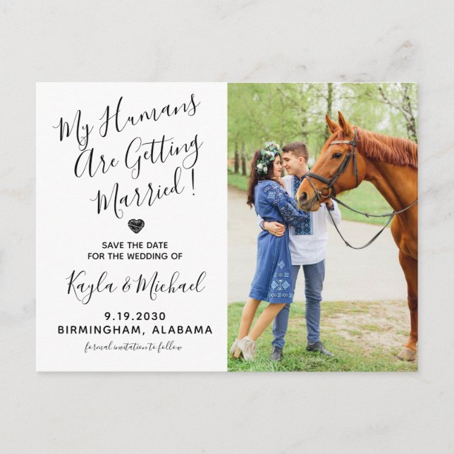 Postal De Anuncios Boda de Caballo Moderno Foto Equino Guardar la Fec (Anverso)