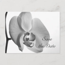 Postal De Anuncios Boda de flores de orquídeas blancas salva la fecha