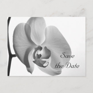 Postal De Anuncios Boda de flores de orquídeas blancas salva la fecha