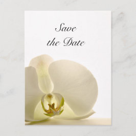 Postal De Anuncios Boda de flores de orquídeas blancas salva la fecha