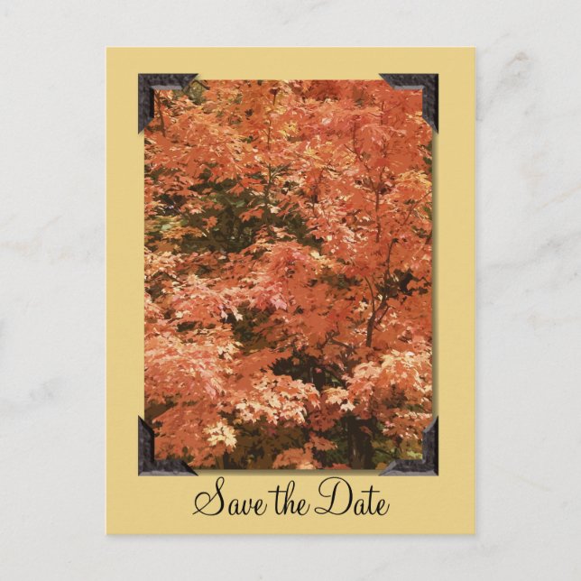 Postal De Anuncios Boda de Hojas Naranjas de Otoño Guardar la Fecha (Anverso)