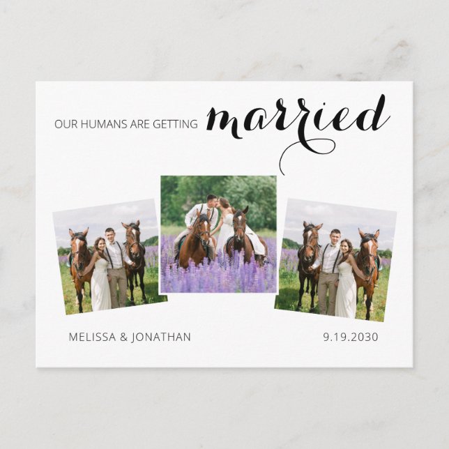 Postal De Anuncios Boda de mascota de caballo de 3 fotos personalizad (Anverso)