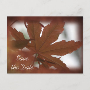Postal De Anuncios Boda de Otoño de Hoja de Arce Japonés - Save the D