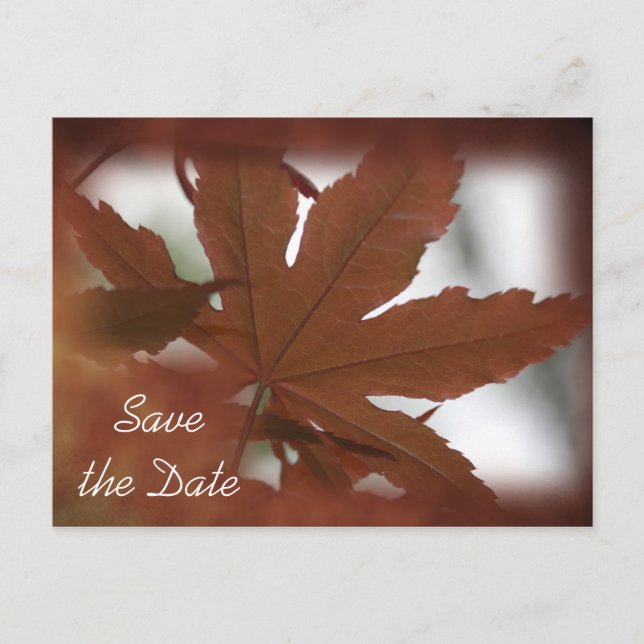 Postal De Anuncios Boda de Otoño de Hoja de Arce Japonés - Save the D (Anverso)
