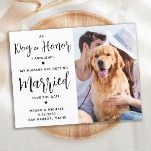 Postal De Anuncios Boda De Perro De Honor Salva La Fecha