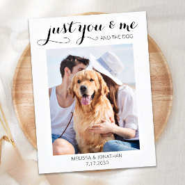 Postal De Anuncios Boda de Perro Elopement Fotográfico Moderno Recién