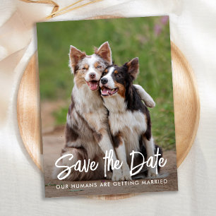 Postal De Anuncios Boda de Perro Mascota Personalizado Foto Guardar l