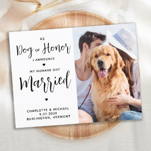Postal De Anuncios Boda de perro recién casado