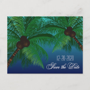 Postal De Anuncios Boda de Playa Tropical Palm Tree Save the Dates