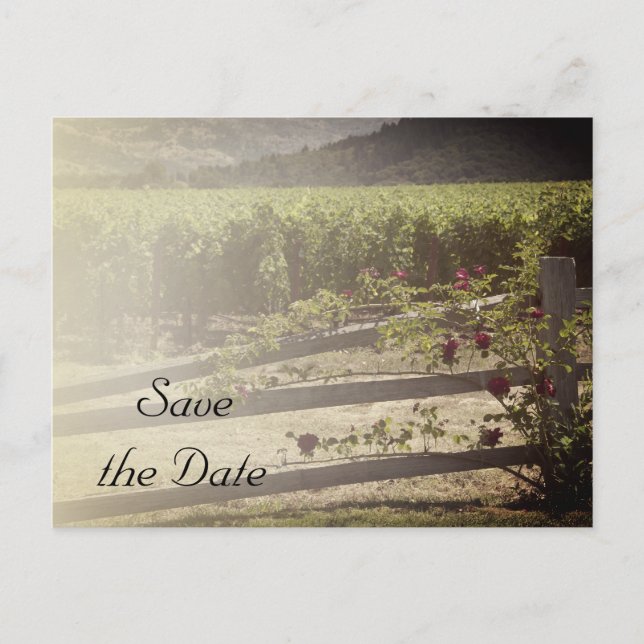 Postal De Anuncios Boda de viñedos y cercas Rosas Salven la fecha (Anverso)
