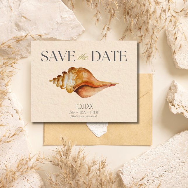 Postal De Anuncios Boda en destino de playa con conchas Save the Date (Seashell Beach Destination Wedding Save the Date postcard)